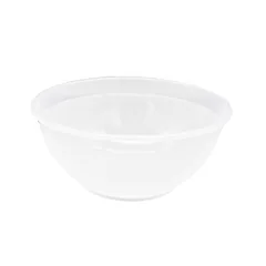 Clear Plastic Bowl