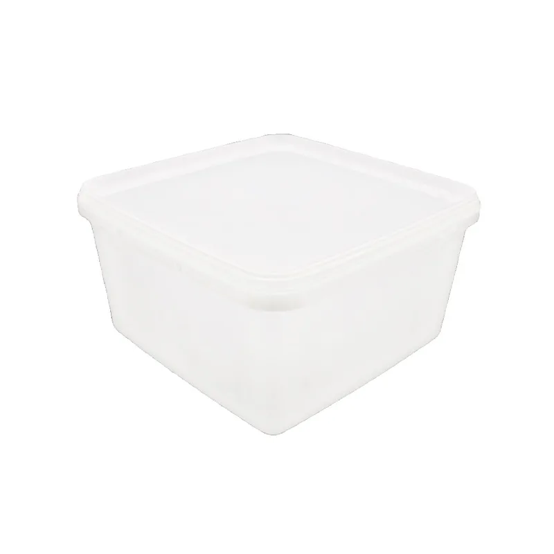 Freezer Container