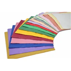 Small 2PLY Dinner Napkins