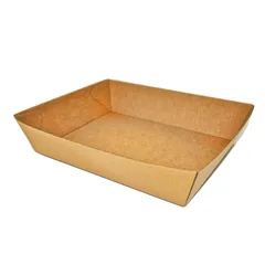 Brown Paper Tray 3