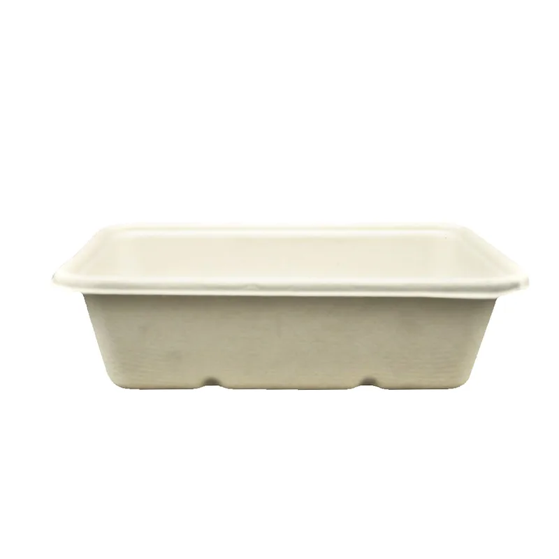 600mL Biocane Takeaway Container